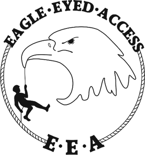 Eagle Eyed Access logo